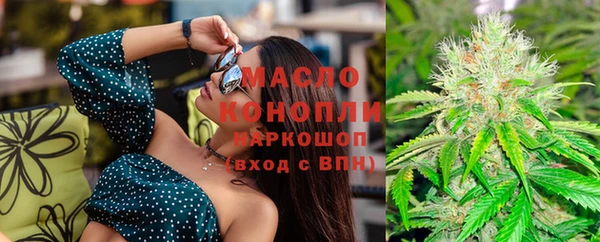 индика Абинск