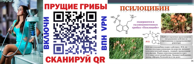 Галлюциногенные грибы GOLDEN TEACHER  shop наркотические препараты  Руза 